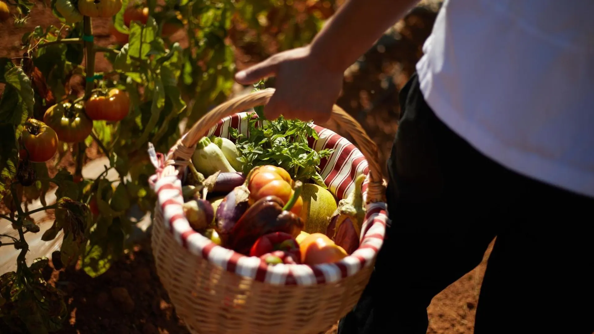 Finca Canto De Marina - Adults Only Campos  Campos (Mallorca)