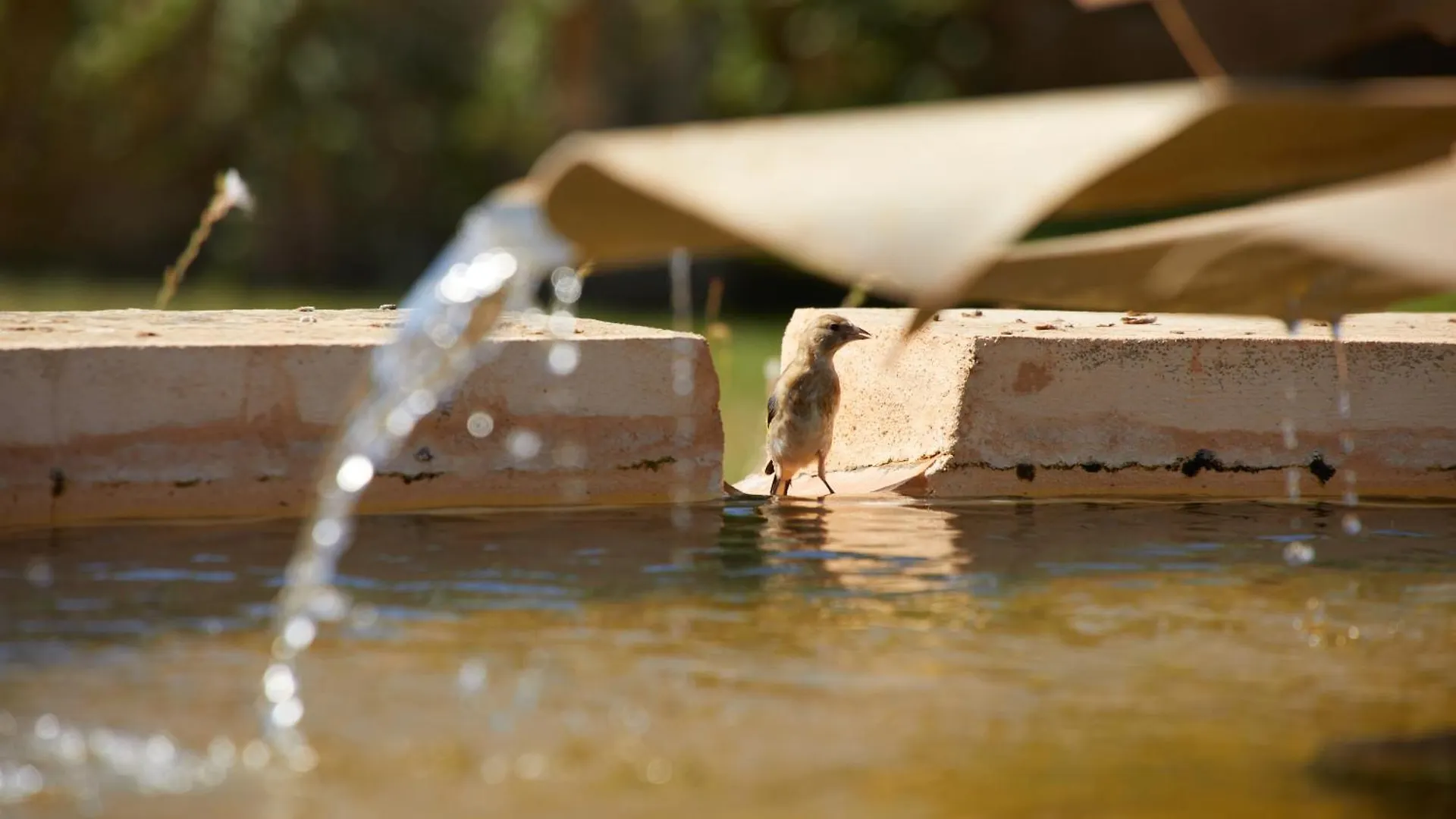 Finca Canto De Marina - Adults Only Campos  Vakantieboerderij